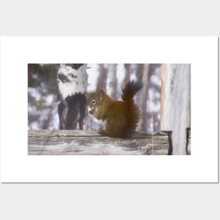 Squirrel on the fence illustration Posters and Art